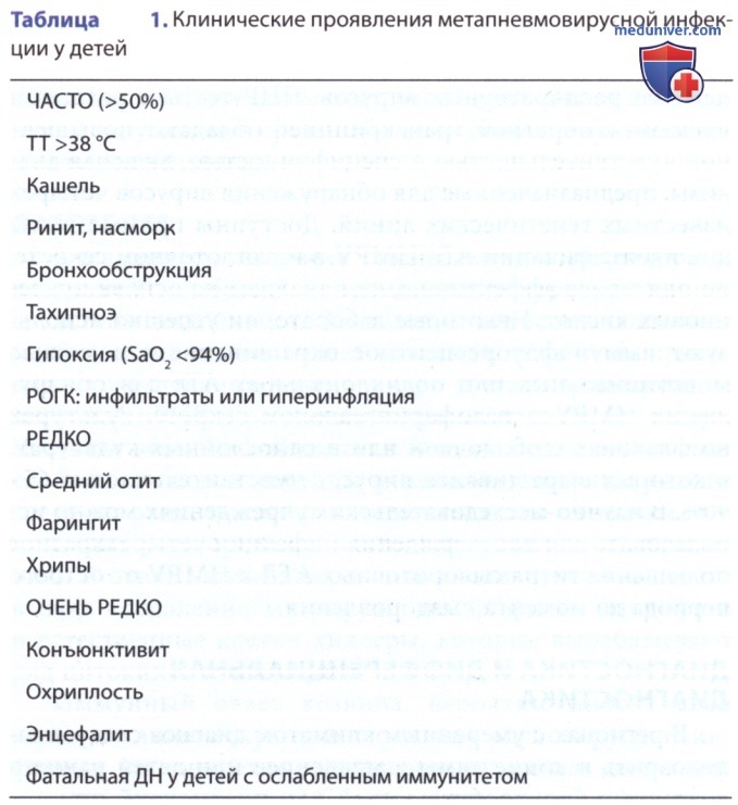 ��������������� �������� (HMPV) � �������