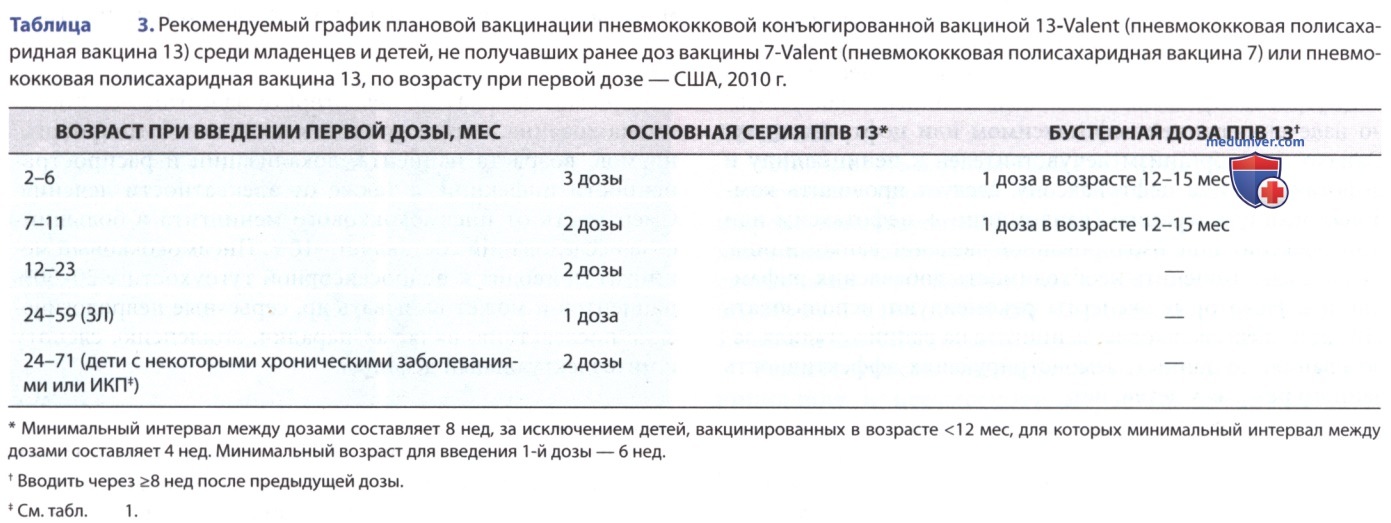 ���������� (Streptococcus pneumoniae) � �������
