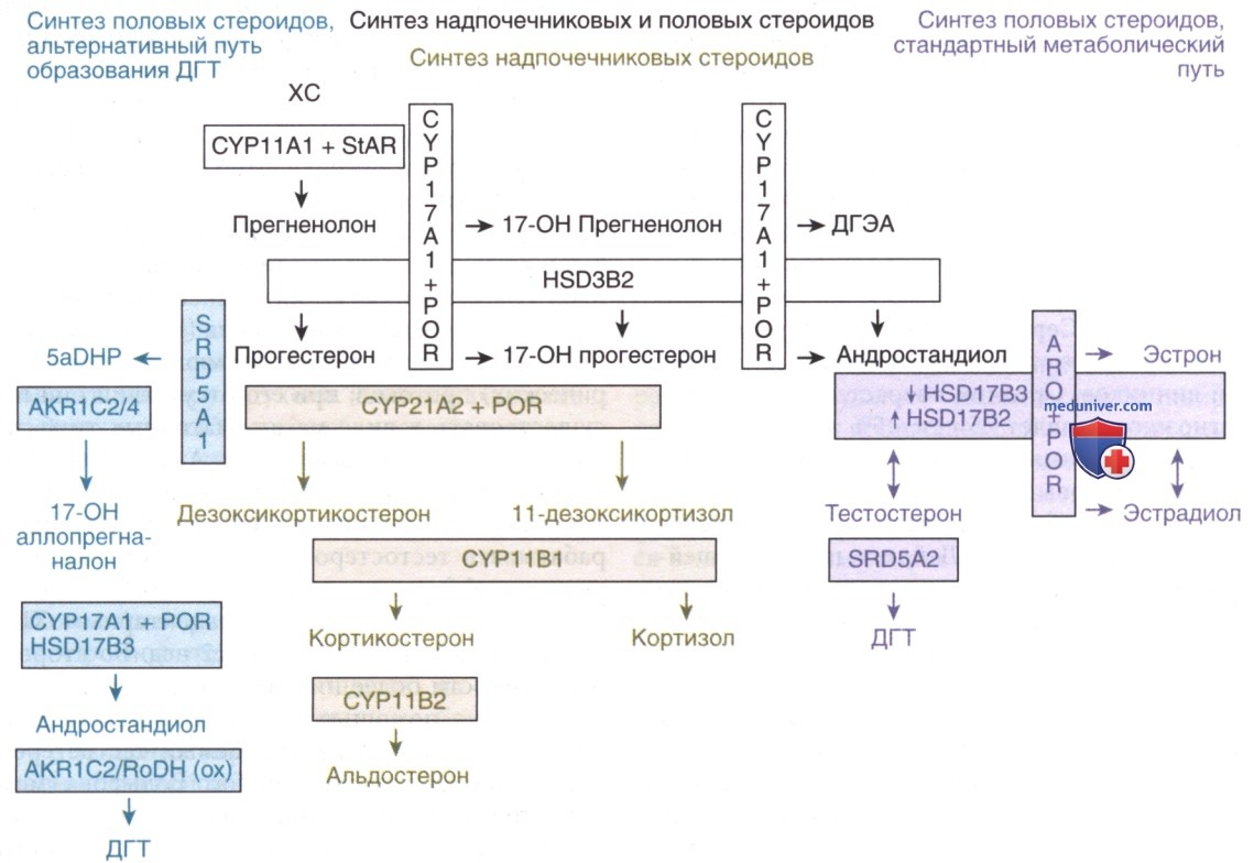 Комплексное исследование на гормоны (12 показателей)