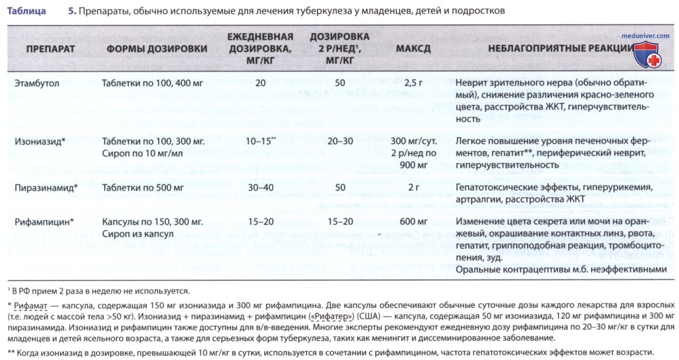 ���������� (Mycobacterium tuberculosis) � �������