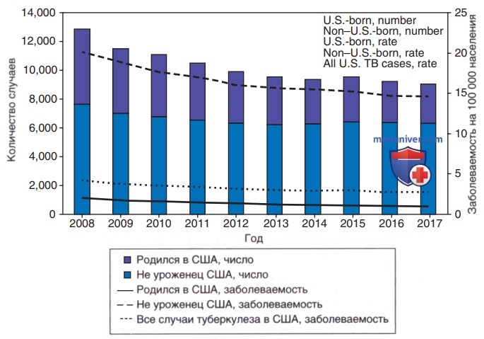 ���������� (Mycobacterium tuberculosis) � �������