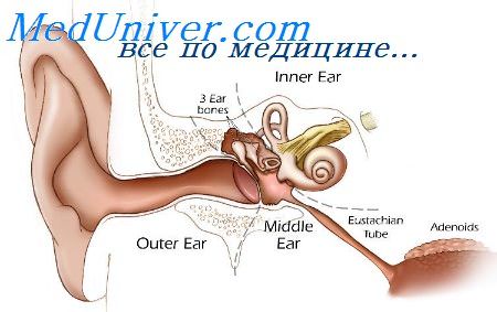 аномалии внутреннего уха