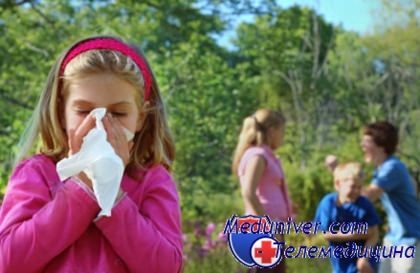 аллергия на пыльцу березы