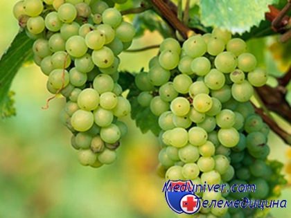 польза винограда для здоровья