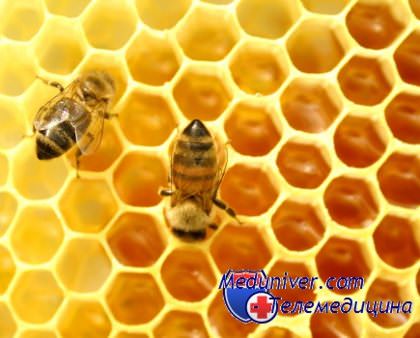 мед в лечебных целях