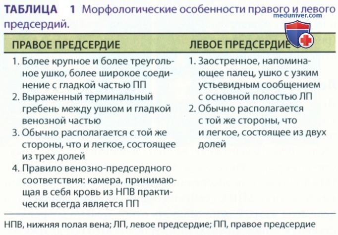 ������� �������� ����� ������ �� �� � ��� � �����