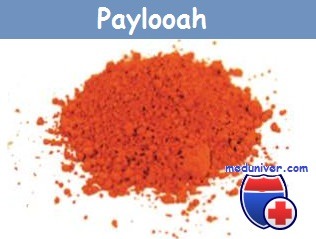 Paylooah