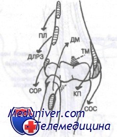 Дистальный конец плечевой кости перелом thumbnail