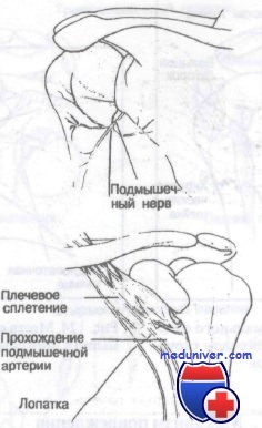 Классификация перелом плечевой кости thumbnail