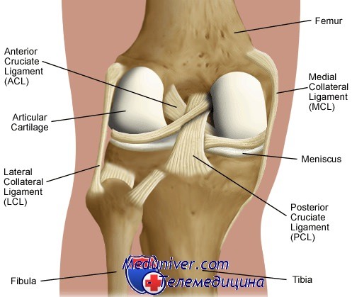 травма связок коленного сустава