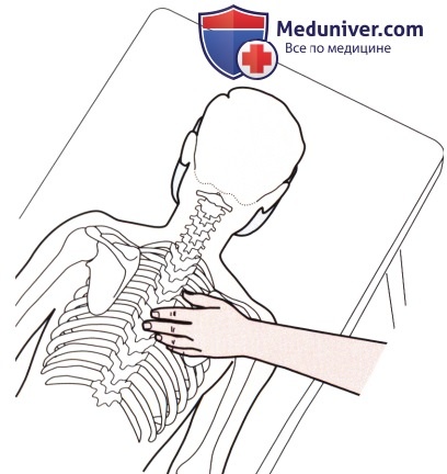 Пальпация костных структур шейного и грудного отделов позвоночника сзади
