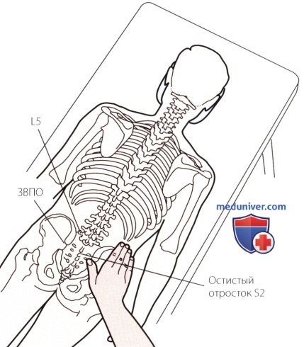 Пальпация костей пояснично-крестцового отдела позвоночника сзади