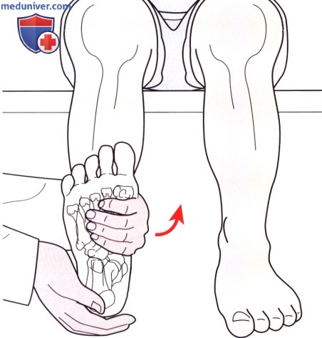 Исследование пассивных движений в голеностопном суставе и стопе