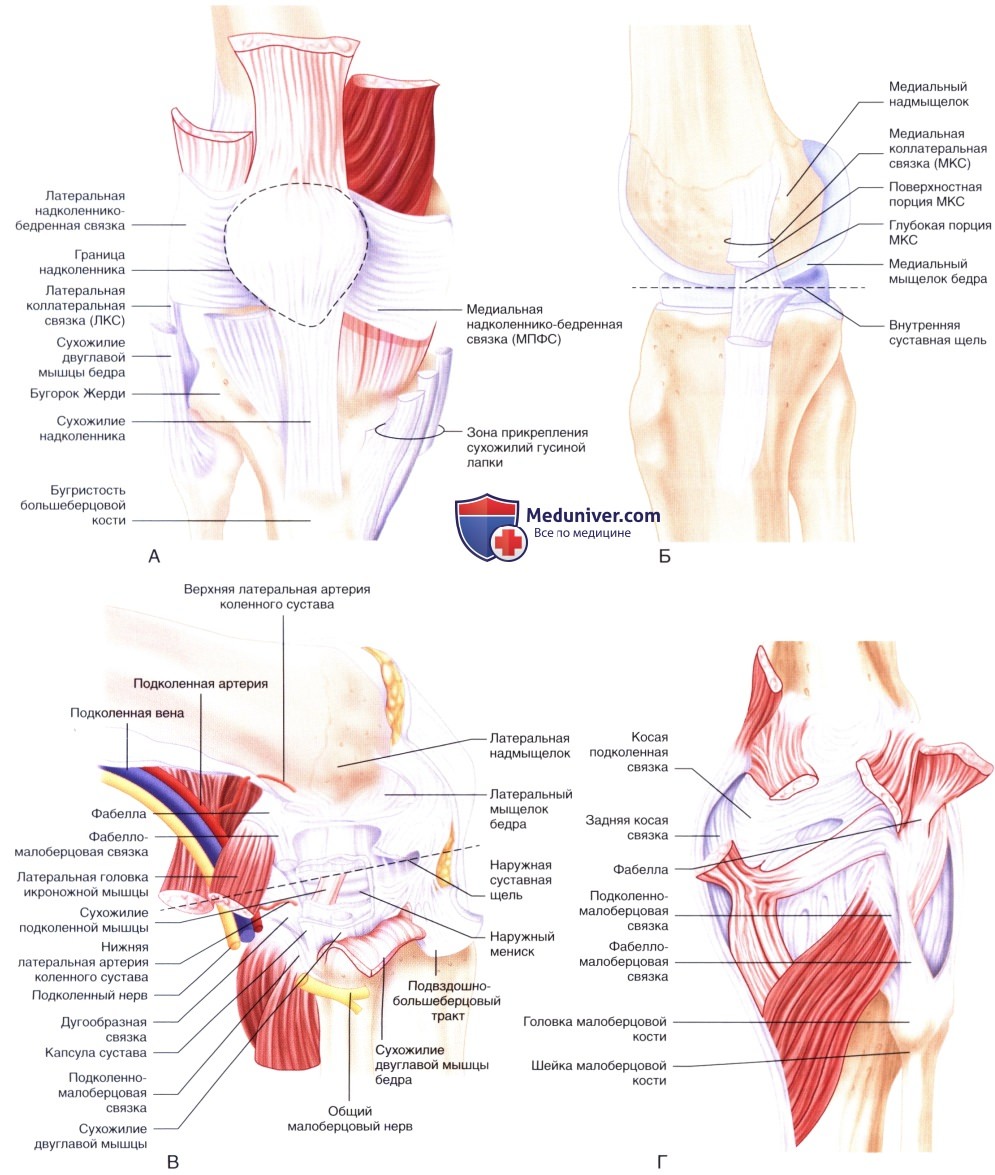 Показания и подготовка к артроскопии коленного сустава