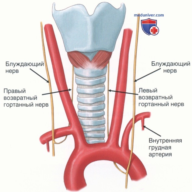 Техника, этапы операции при повреждении подключичных сосудов - артерий, вен