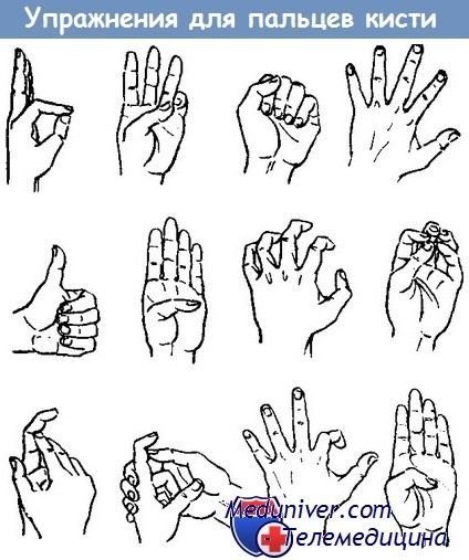 Гимнастика для кистей и пальцев рук