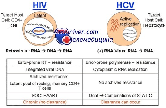 Неструктурные белки вируса гепатита с анализ thumbnail