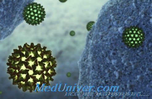 История болезнь для вирусным гепатитом thumbnail